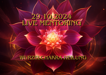 29.10.2024 Live Mentoring